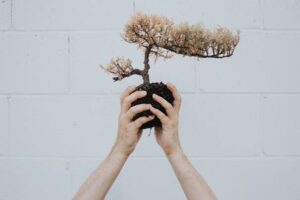 Neem het maar in eigen handen Neem het maar in eigen handen